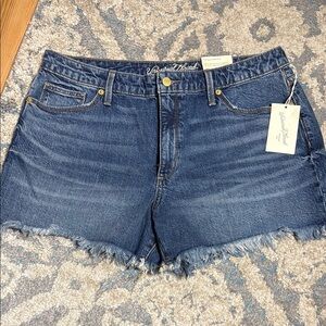 Classic Blue Jean Shorts with Frayed Hem and Stretch Fit